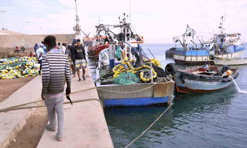 Pesca ilegal apoiada por pontes cais 26 clandestinos em Luanda