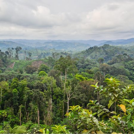 Financiamento Verde, Muito Necessário para a África