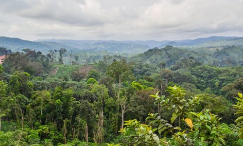 Financiamento Verde, Muito Necessário para a África